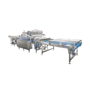 Vertical Filling Of Products On Conveyor Belt