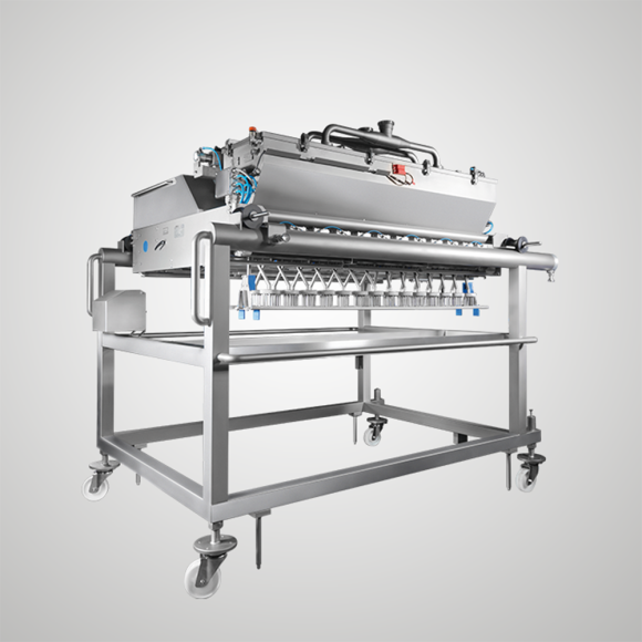 Horizontal Injection Line Of Poured Or Leavened Products